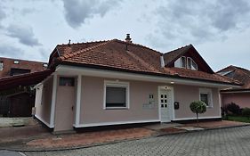 Oddih V Mirnem In Zelenem Okolju